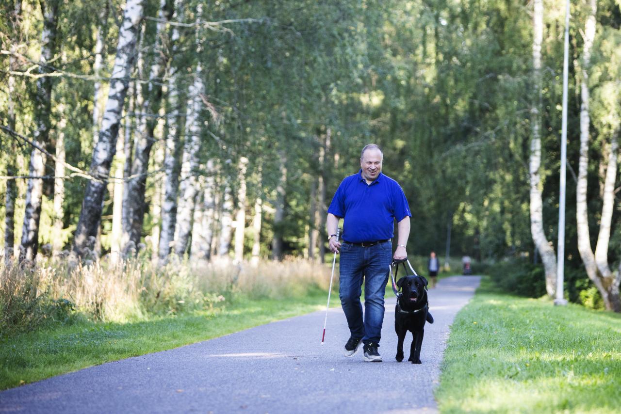 Kuva henkilöstä ja mustasta opaskoirasta yhdistetyn yhdistetyllä pyörätien ja jalkakäytävä vasemmassa laidassa.