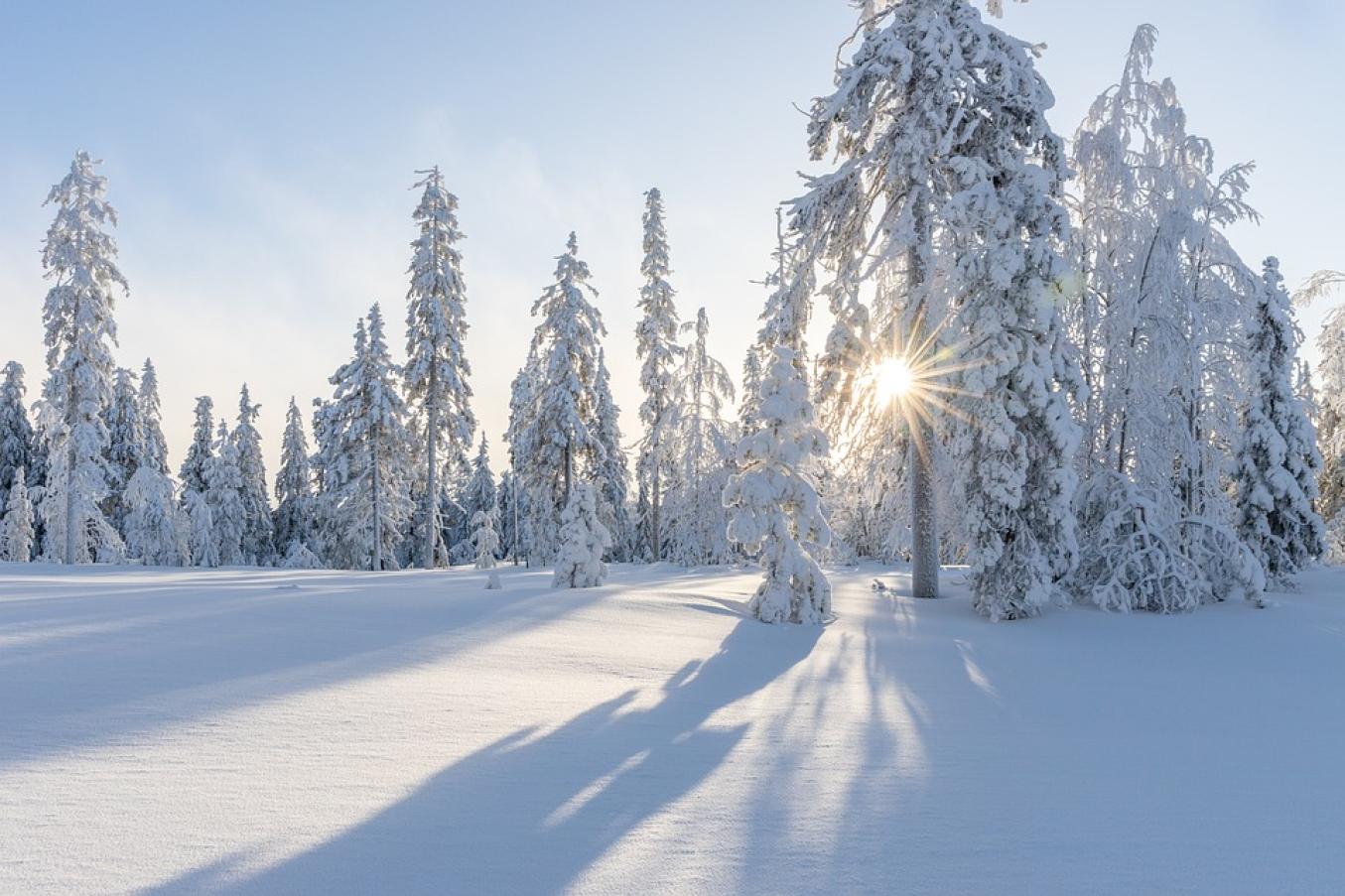 Luminen maisema, jossa puita lumipeitteessä ja välistä tuikkii aurinko.